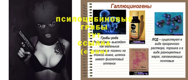 ешки Алексеевка