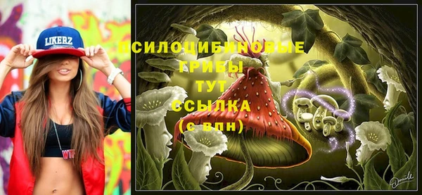 герыч Алексин